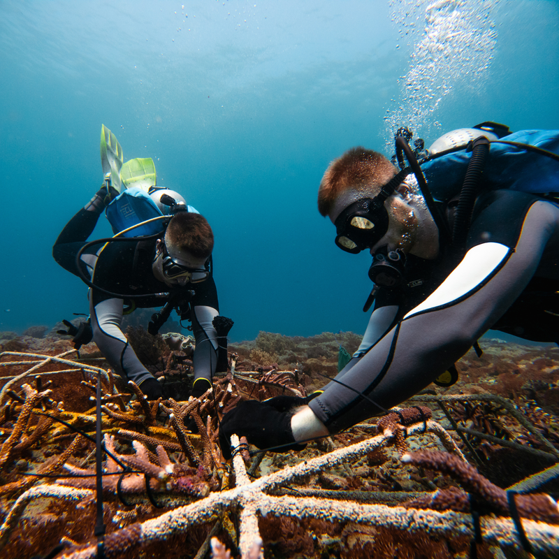 Marine Infrastruktur wiederaufbauen