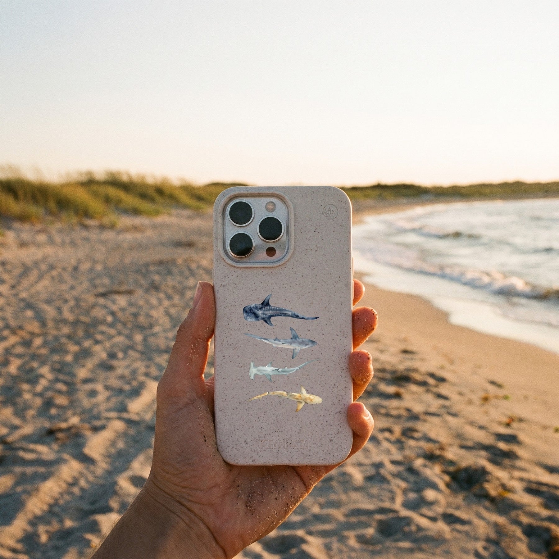 Biologisch abbaubare Handyhülle iPhone 15 pro Sharkproject — kompostierbar — in der Hand
