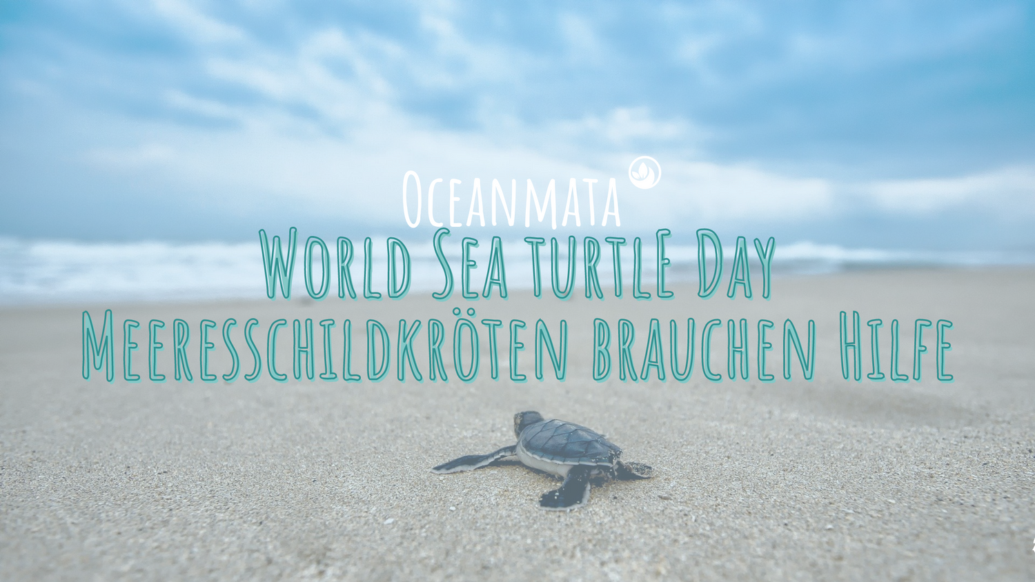 "World Sea Turtle Day" - Meeresschildkröten brauchen deine Hilfe!