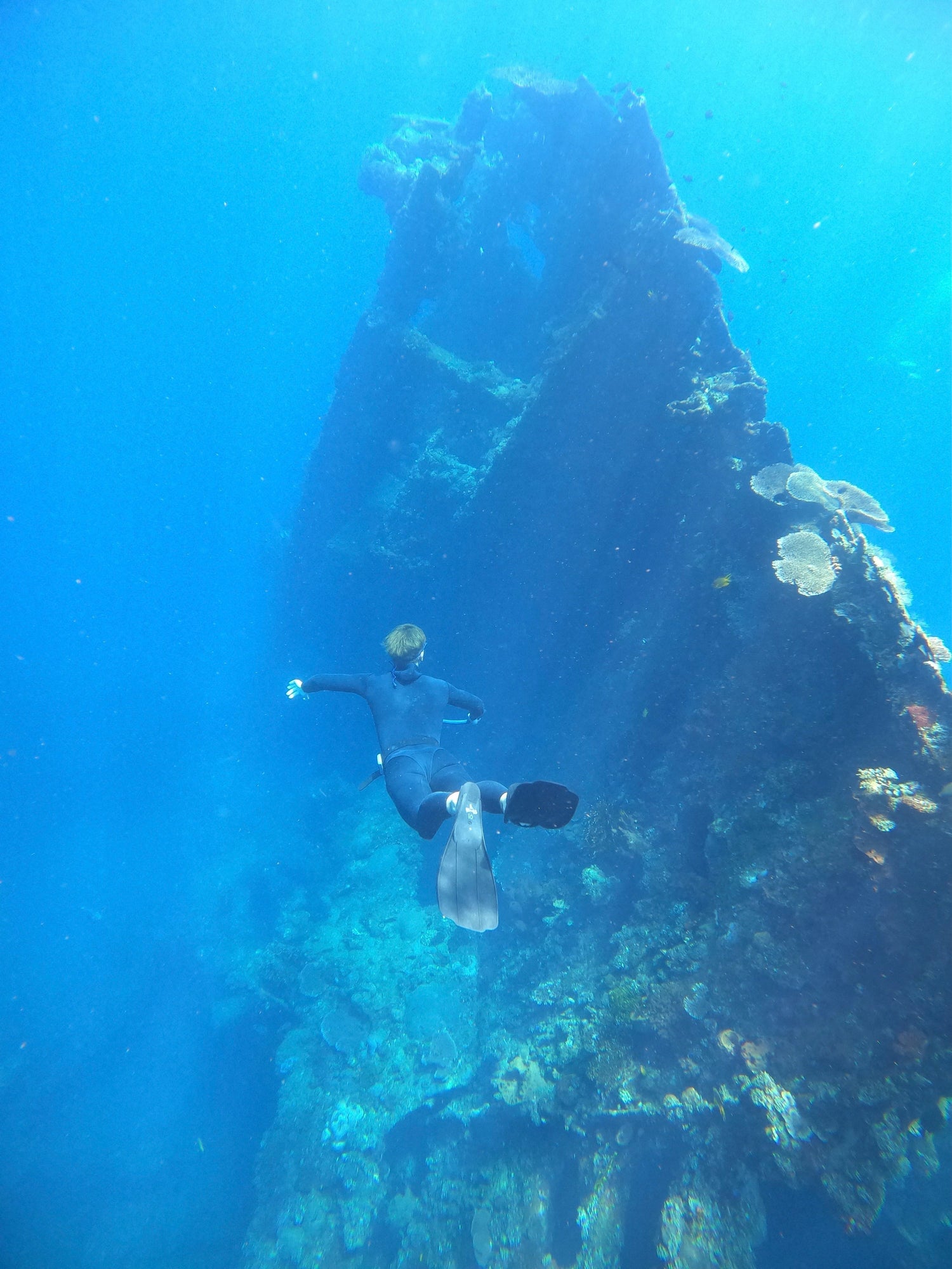 🌊 Apnoetauchen auf Bali: Mein Freediving-Erlebnis am Liberty Wreck in Tulamben