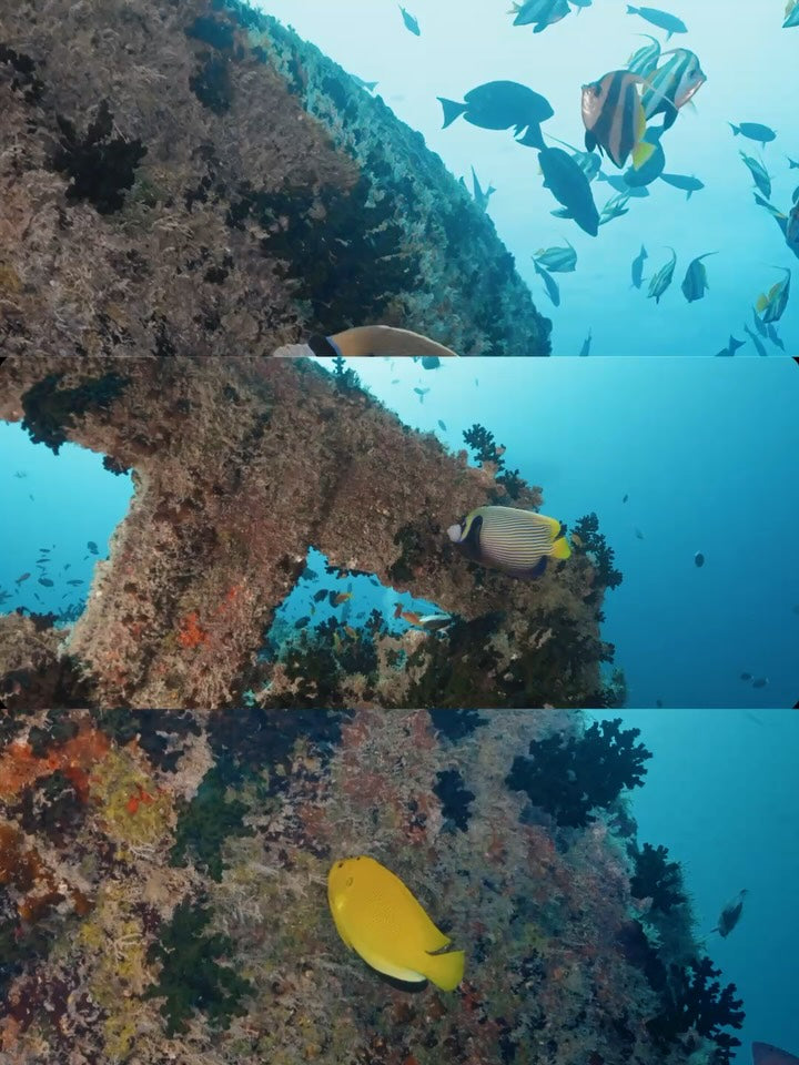 So recyceln wir Ocean Plastic auf Bali – Schritt für Schritt