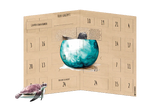 Last Minute Adventskalender Turtle Patenschaften