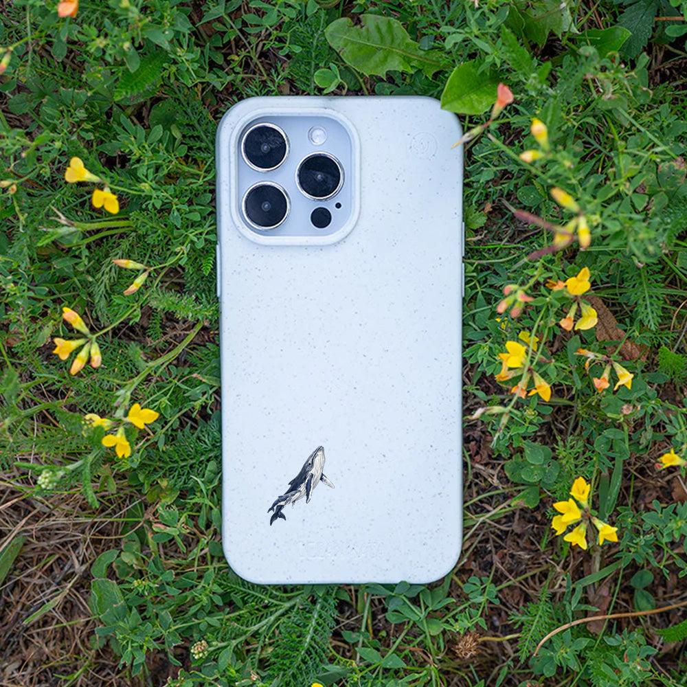 iPhone 11 Hülle - Buckelwal weiß - "OceanLullaby" - nachhaltig