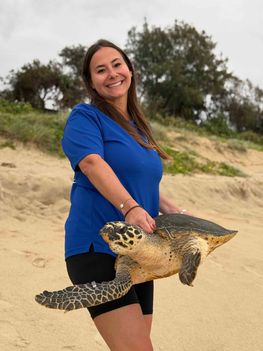 Helferin von Australian Seabird & Turtle Rescue mit einer Meeresschildkröte am Strand